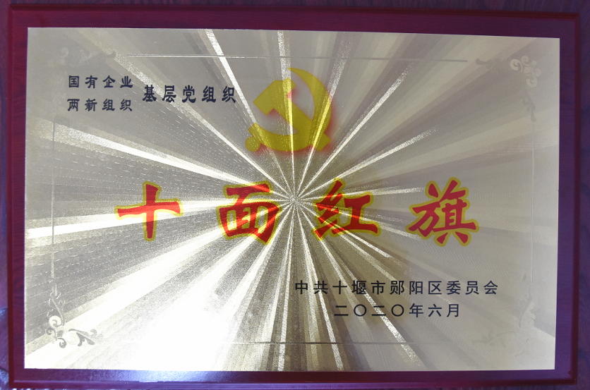 基(ji)層黨組(zǔ)織“十面(mian)紅旗”2020