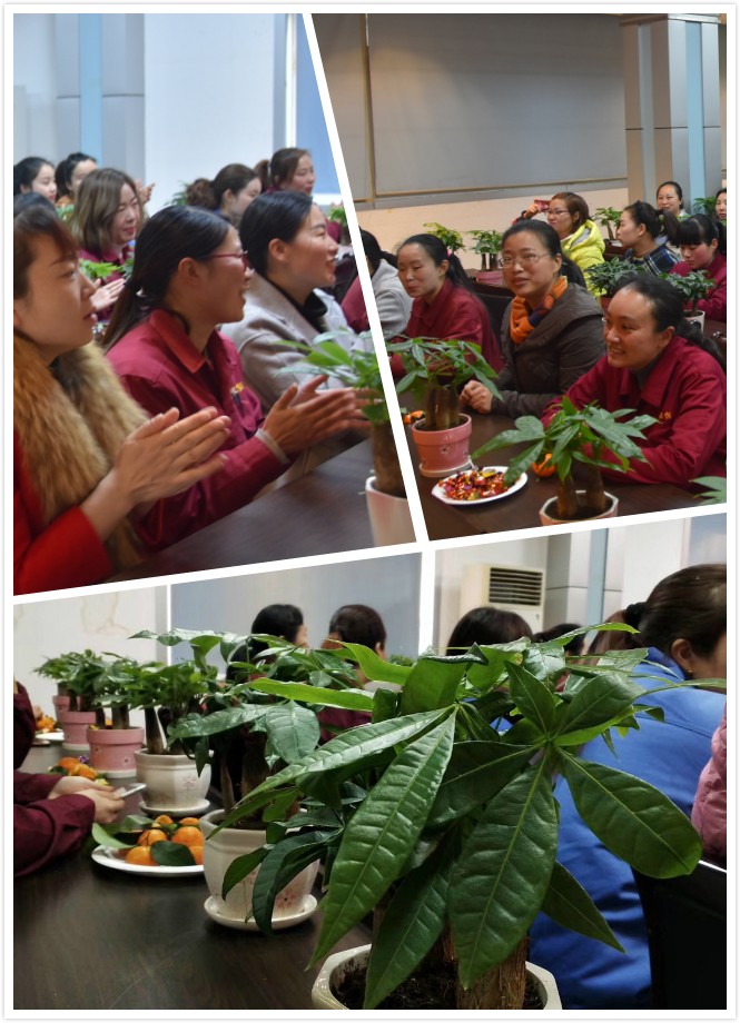 1552097152775568.jpg 集錦(jǐn).jpg