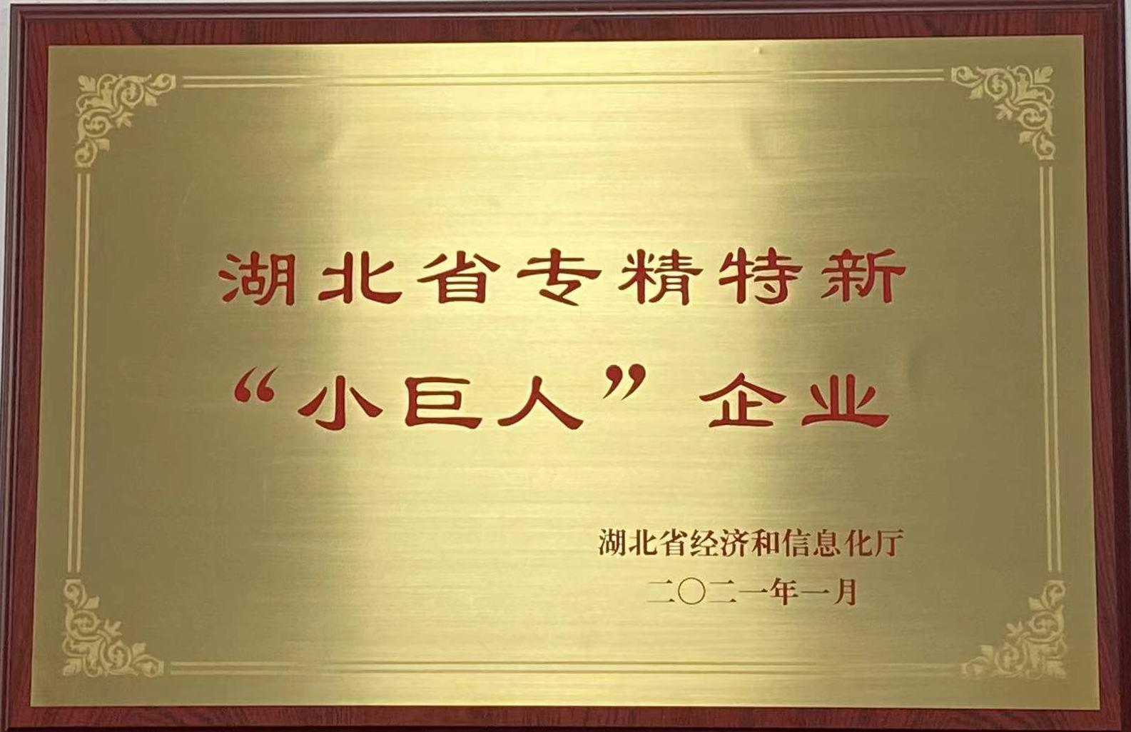 湖(hú)北省專(zhuān)精特新(xin)小巨人(rén)