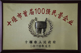 100強(qiang)民營企(qi)業（2010.1月）