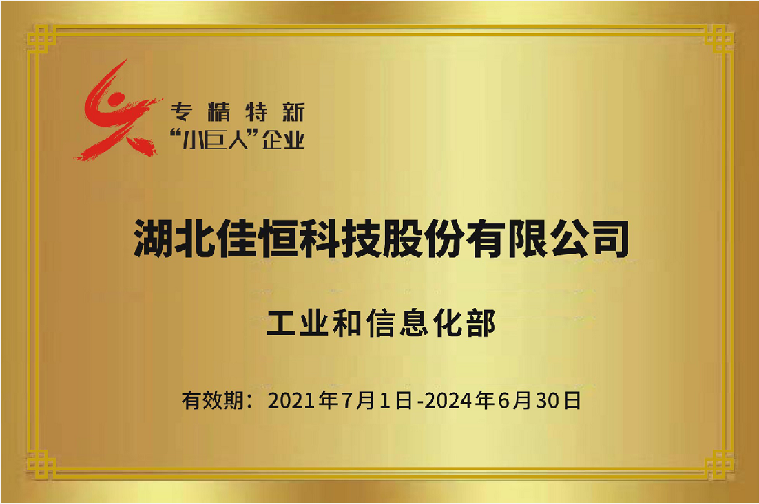 國(guo)家級專(zhuān)精特新(xīn)小巨人(rén)2021