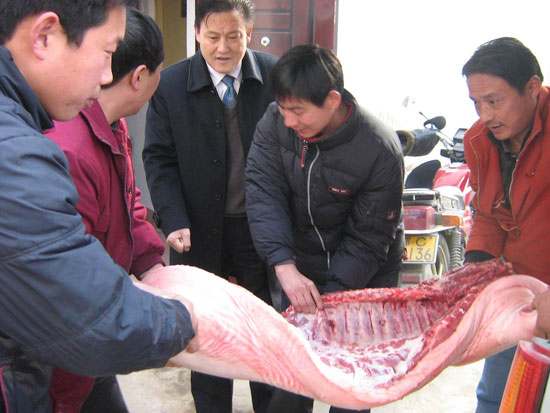 慰問(wen)茶店福利(lì)院老人